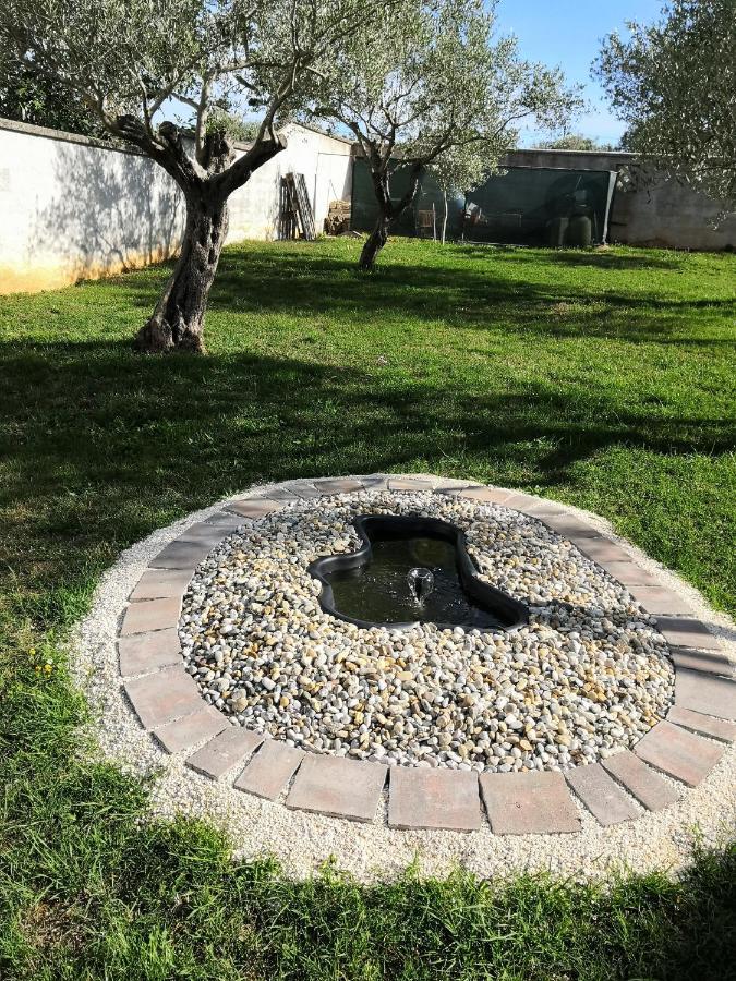 Apartments With A Parking Space Valbandon, Fazana - 7296 Štinjan المظهر الخارجي الصورة